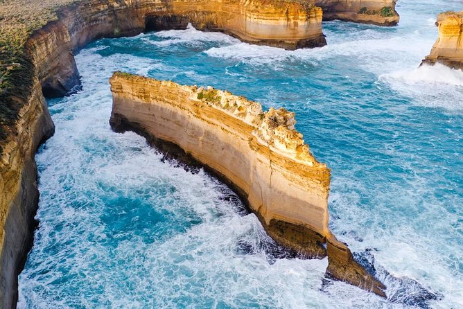 Small-Group Great Ocean Road Day Trip from Melbourne - Great Otway National Park and the Great Ocean Road Ecolodge time