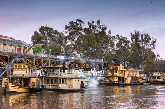 Small-Group Murray River Adventure - Paddle Steamer & Wildlife - Key moments that make this tour worth it