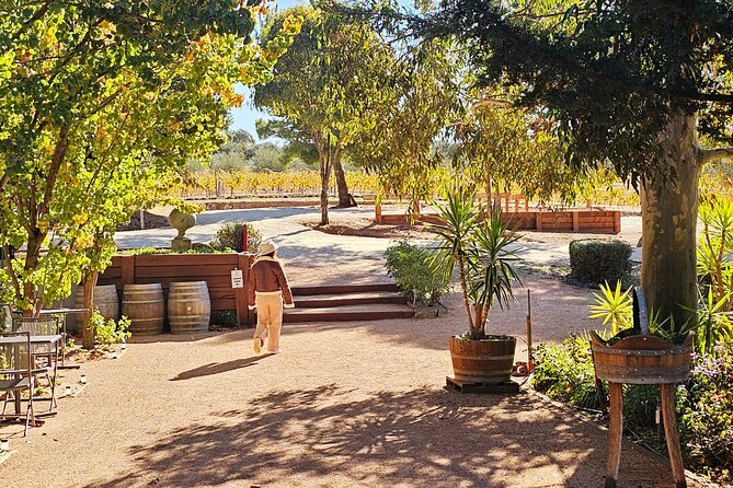Small-Group Murray River Adventure - Paddle Steamer & Wildlife - Echuca: time in a historic Murray riverport town