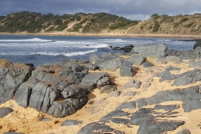 Small Group Personalised Private Tours Melbourne (up to 14 pax) - Puffing Billy and Mornington Peninsula Add-On Moments