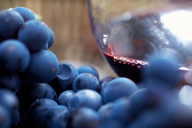 Small Group: Ultimate Yarra Valley Food and Wine - Luxury Mercedes van + Melbourne pickup, the part you’ll feel most