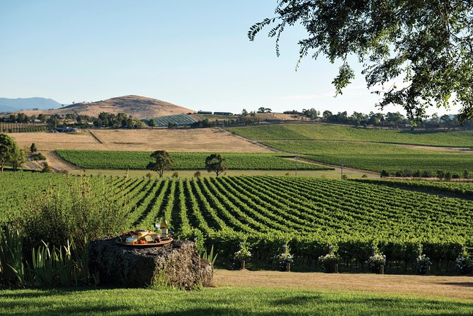 Small Group: Ultimate Yarra Valley Food and Wine - How long 7½ hours feels, and the pacing you’ll likely notice