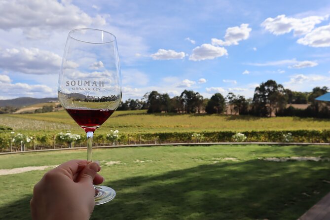 Small Group Yarra Valley: Redwoods Forest & Premium Wine Tour - Tour Comfort and Logistics: Why Small Group Beats DIY