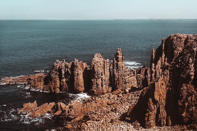Small Tour (8 ppl) Phillip Island Hike & Penguin Parade Day Tour - Key takeaways for a smooth Phillip Island day