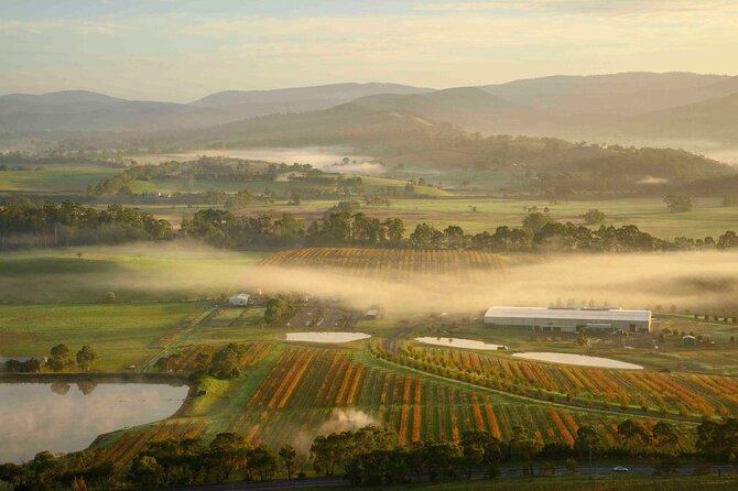 Sunrise Hot Air Balloon Flight over Yarra Valley + Breakfast - Who should book this sunrise balloon flight with breakfast