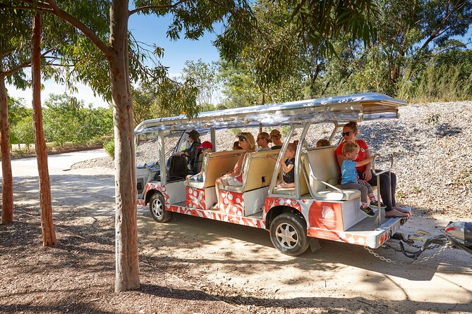 The Explorer - Cranbourne Gardens - Key points before you go
