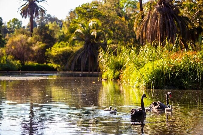 The Explorer - Melbourne Gardens - Who should book this minibus tour (and who can skip it)