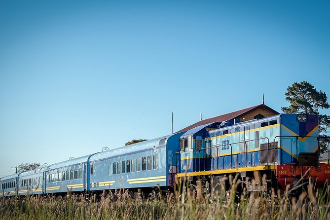 The Q Train - Q Class Social Dining - Price and value: is $103.28 worth it?