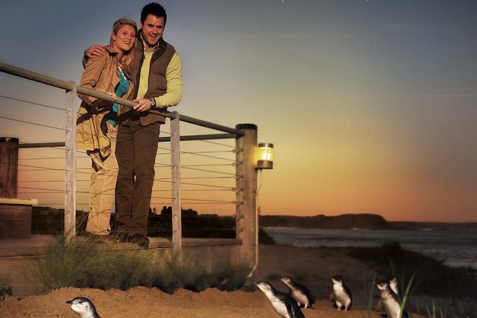 The Ultimate Melbourne Attractions Pass - Phillip Island Penguin Parade: worth it, but don’t underestimate transport