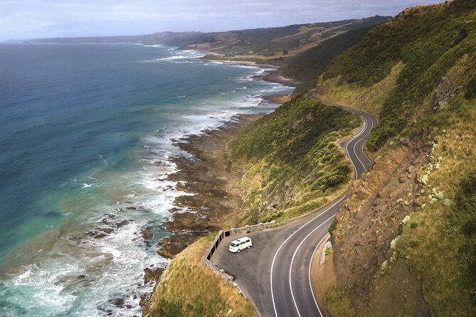 Ultimate Great Ocean Road Morning Escape Full Day Tour - Great Otway National Park and the Koala Hunt (Without the Stress)