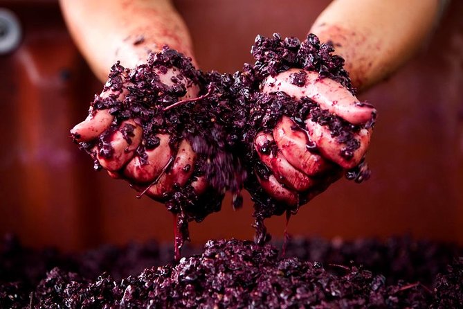 Ultimate Mornington Peninsula Food and Wine Small Group Tour - Epicurean Tours as your host base: how the day kicks off