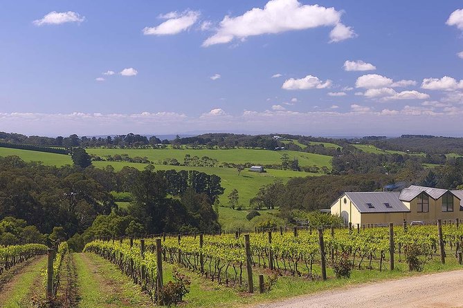 Ultimate Mornington Peninsula Food and Wine Small Group Tour - Pt. Leo Estate: a second cellar door with time to compare