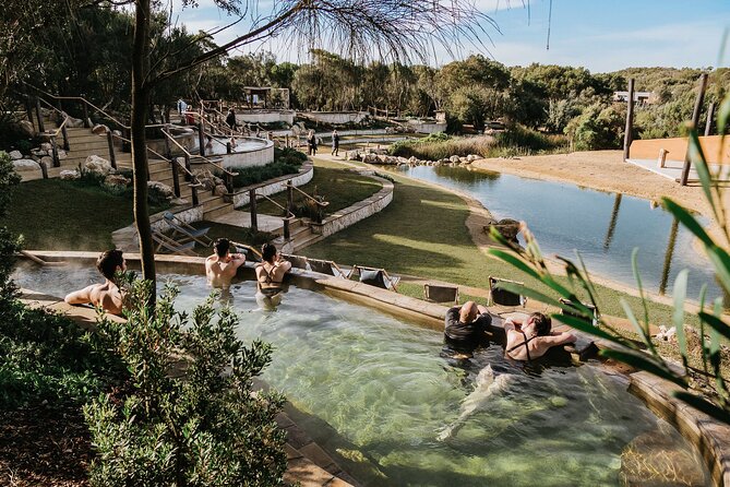 Ultimate Peninsula Adventure: Stand Up Paddle, Hot Springs, Hike, Lunch & Winery - Price and value check: $207.28 for a packed 9 hours