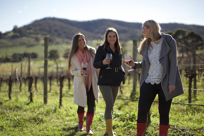 Ultimate Yarra Valley Chandon, Soumah & De Bortoli Cheese & Wine - Group Size and the Driver/Guide: The Real Secret Sauce