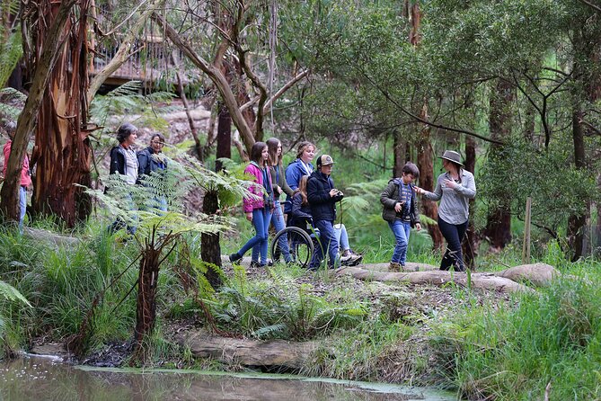 Walk with Wildlife: Guided Tour in Great Ocean Road - Entering the Otways: a tight, guided wildlife route