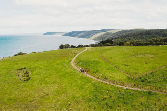 Walk with Wildlife: Guided Tour in Great Ocean Road - Before and after: cafe time and a light lunch