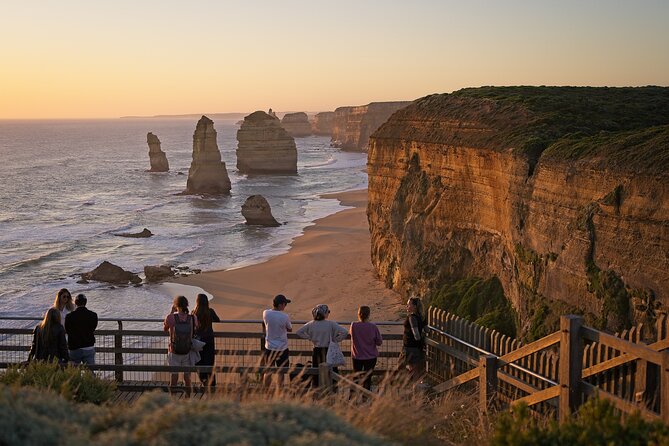 Walk with Wildlife: Guided Tour in Great Ocean Road - Best fit: who will enjoy this most