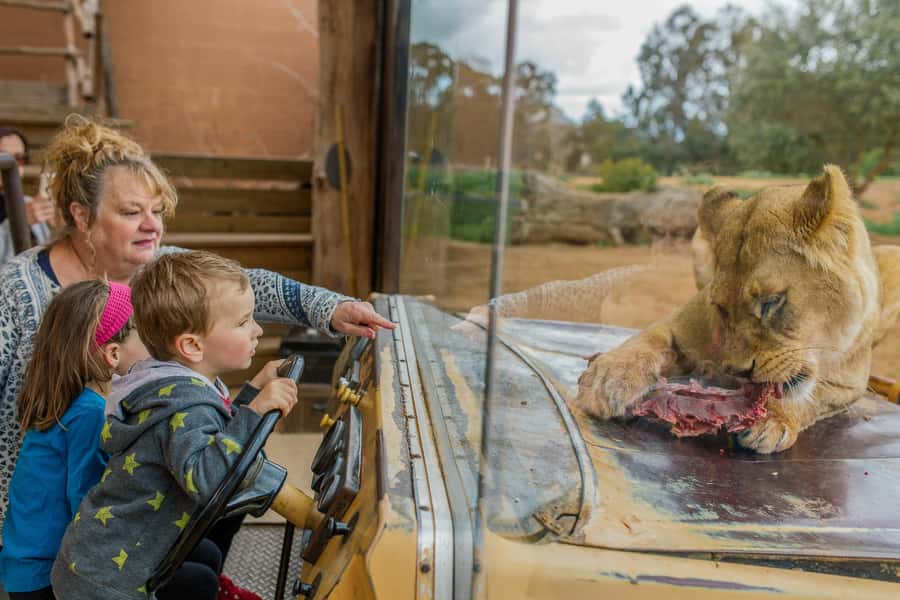 Werribee Open Range Zoo: Entry Ticket - Key things to know before you go