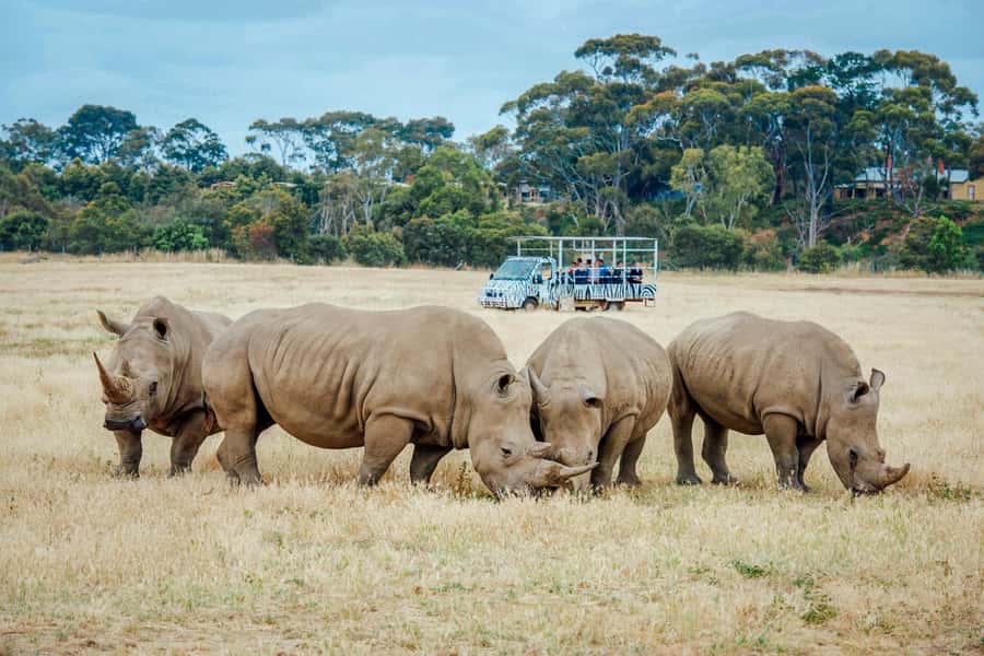 Werribee Open Range Zoo: Entry Ticket - The flow of your day: how to plan a 1-day route