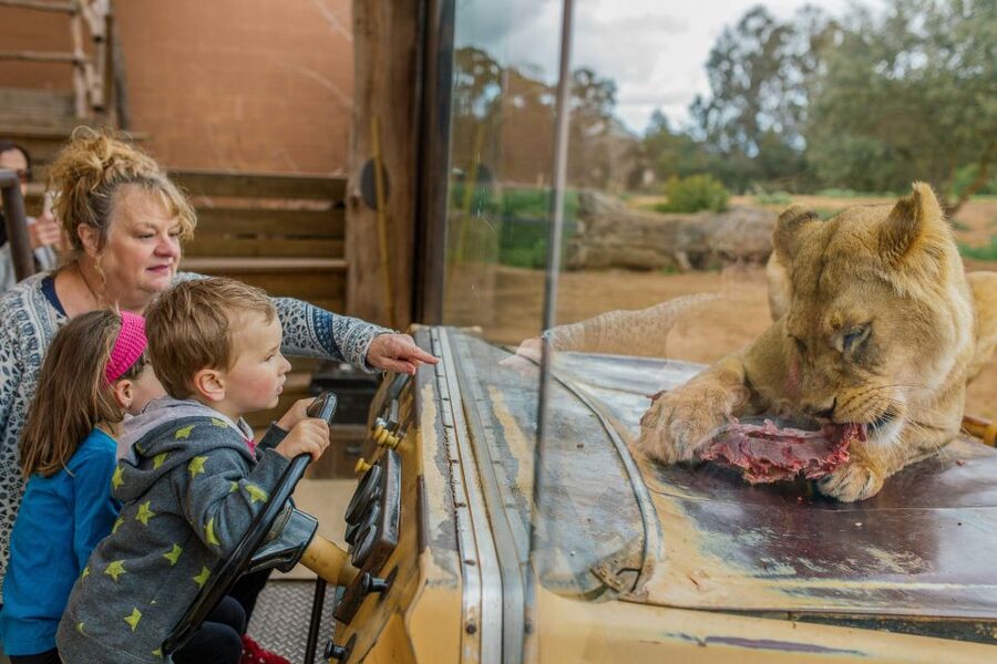 Werribee Open Range Zoo: Entry Ticket - Food, snacks, and comfort: picnic beats price pressure