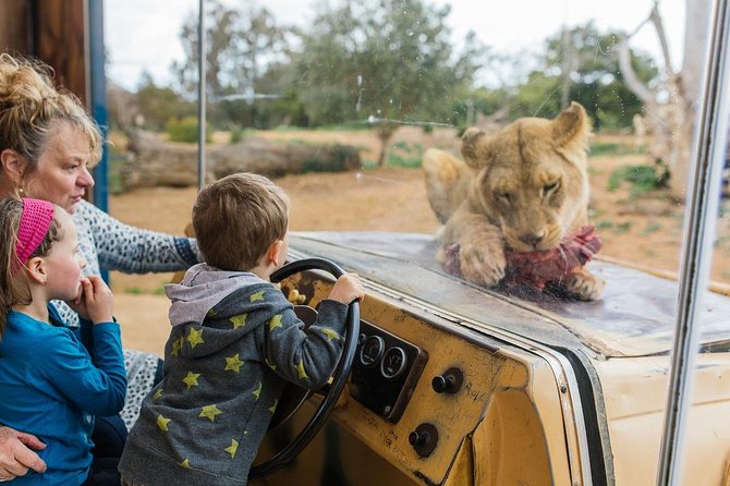 Werribee Open Range Zoo General Admission Ticket - Key Things I’d Plan Around