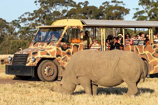 Werribee Zoo & Werribee Mansion Tour - Animal-photo reality check: where your time pays off