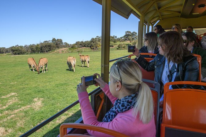 Werribee Zoo & Werribee Mansion Tour - Should you book the Werribee Zoo and Mansion tour?