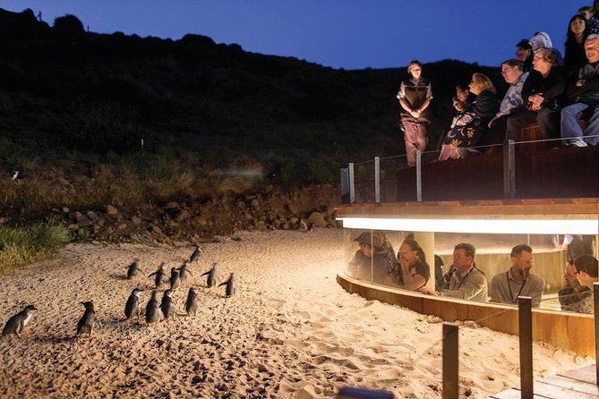 Wilson's Promontory & Phillip Island - 'Prom & Penguins' Tour - Stop 3: Squeaky Beach—stroll it or add the longer walk