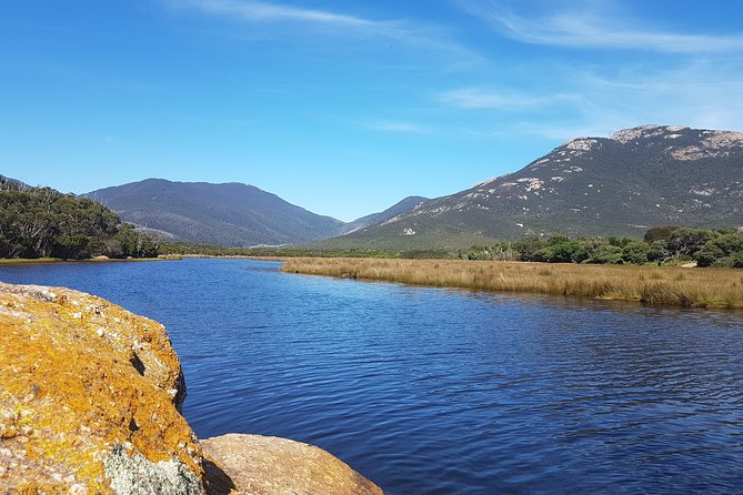 Wilson's Promontory & Phillip Island - 'Prom & Penguins' Tour - Stop 4: Lilly Pilly Gully rainforest gully (optional)