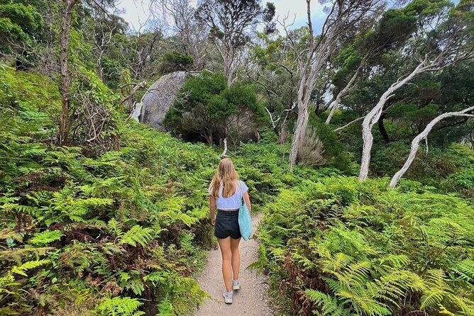 Wilson's Promontory Small Group Eco Tour from Melbourne - The Lilly Pilly Gully Walk: Green Footsteps in the Rainforest Style Area