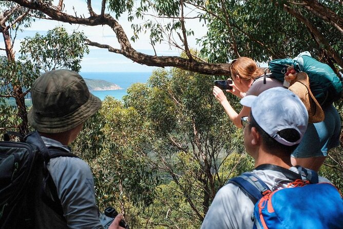 Wilson's Promontory Small Group Eco Tour from Melbourne - The Real Value: What You Get for $121.21 (and What You Bring Yourself)