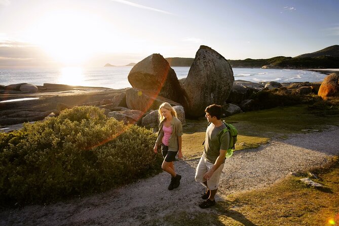 Wilsons Promontory Day Trip from Melbourne - Tidal River: A Short Wildlife Walk That Packs a Punch