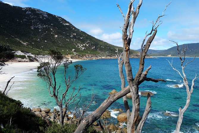Wilsons Promontory Hiking Day Tour - 8 Person Max Small Group - Stop 2: The 6.8 km Mt Oberon Summit Walk (Where the Coast Shows Off)