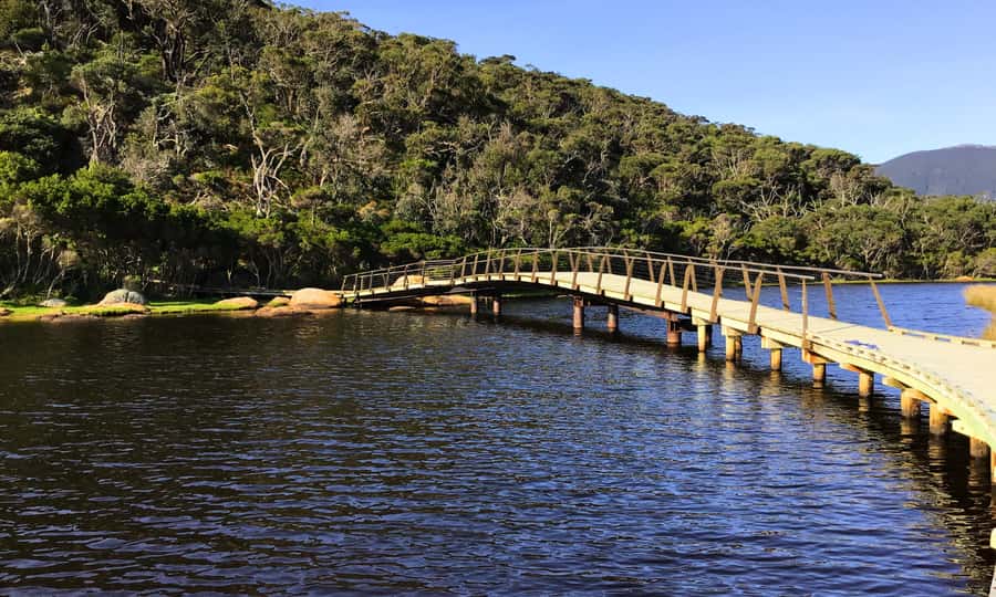 Wilsons Promontory National Park Full-Day Eco Tour - Practical Packing Tips That Actually Matter