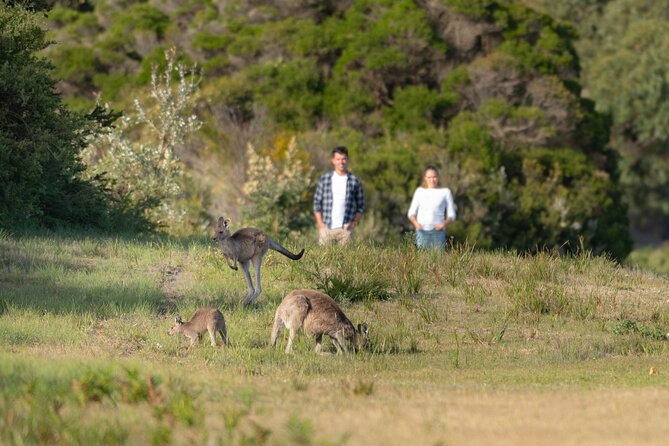 Wilsons Promontory Wilderness Day Tour - Why this day trip works from Melbourne (and when it doesn’t)