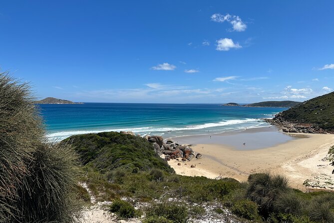 Wilsons Promontory Wilderness Day Tour - Tidal River visitor area: where lunch fits in
