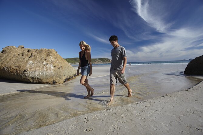 Wilsons Promontory Wilderness Day Tour - Glennie Lookout to Norman Beach: quick hits that set the tone