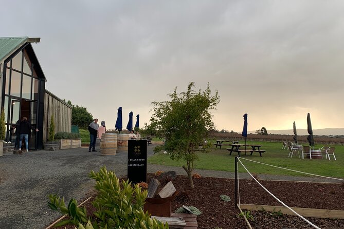 Wine Tour Yarra Valley Five Star Experience - Price and value: what $154.21 includes (and what it saves you)