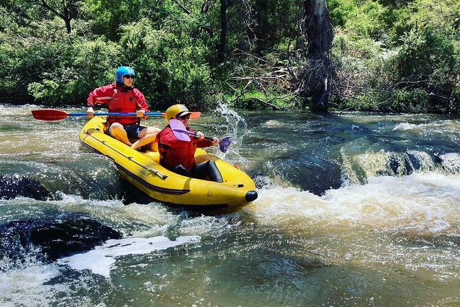 Yarra River Half-Day Rafting Experience - Quick hits: what makes this Yarra rafting half-day worth it