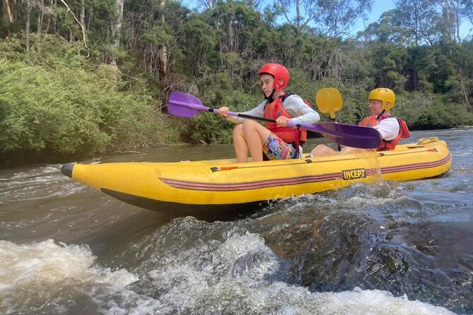 Yarra River Half-Day Rafting Experience - Wildlife and river scenery: mini-gorges, valleys, and kangaroo odds