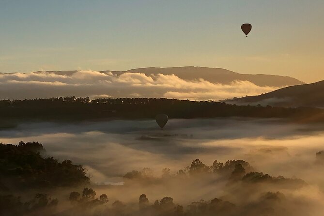 Yarra Valley Balloon Flight + Breakfast & Melbourne Pickup - Rochford Wines Continental Breakfast: Good Energy, But Not a Hot Buffet