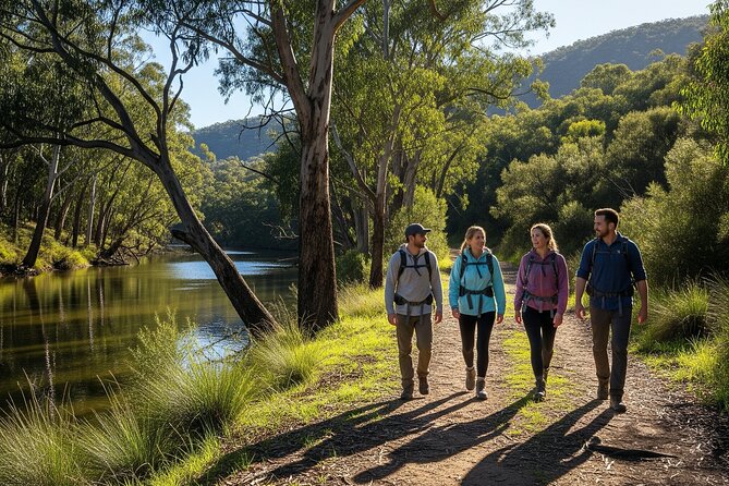 Yarra Valley by night! Private wine, whisky and dinner tour - Meletos dinner in the vineyards: a real 2-course finish (about 2 hours)