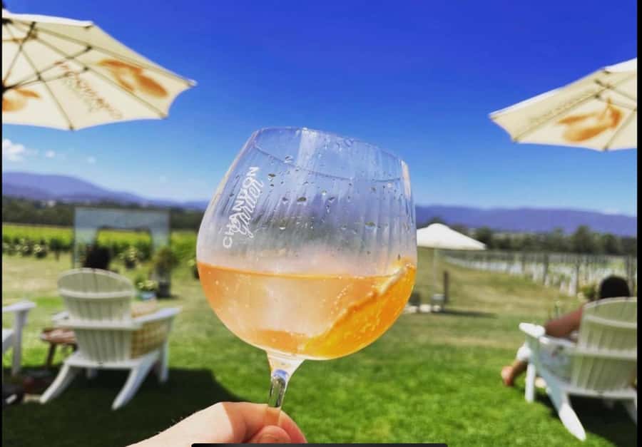 Yarra Valley Foodies Tour with Chandon and Kangaroo Safari! - Why this 11:30am Yarra Valley timing feels like a win