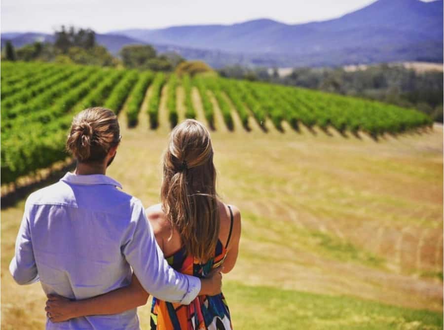 Yarra Valley Foodies Tour with Chandon and Kangaroo Safari! - Yarra Valley Dairy: where soft cheese takes center stage