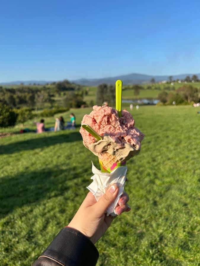 Yarra Valley Foodies Tour with Chandon and Kangaroo Safari! - Chocolaterie and ice cream: coverture, gardens, and time to browse