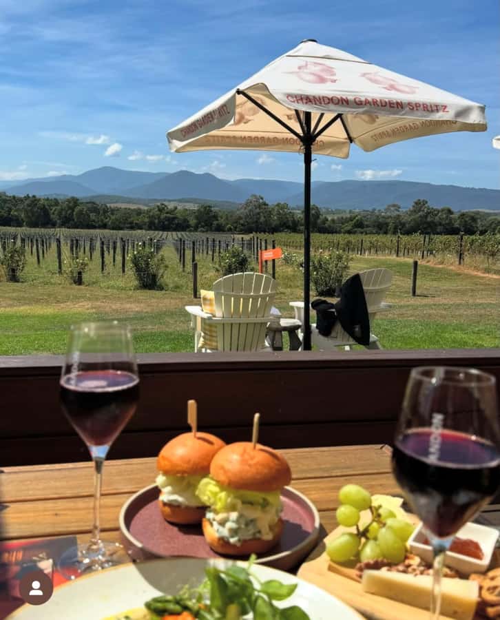 Yarra Valley Foodies Tour with Chandon and Kangaroo Safari! - The kangaroo safari at sunset: the main event