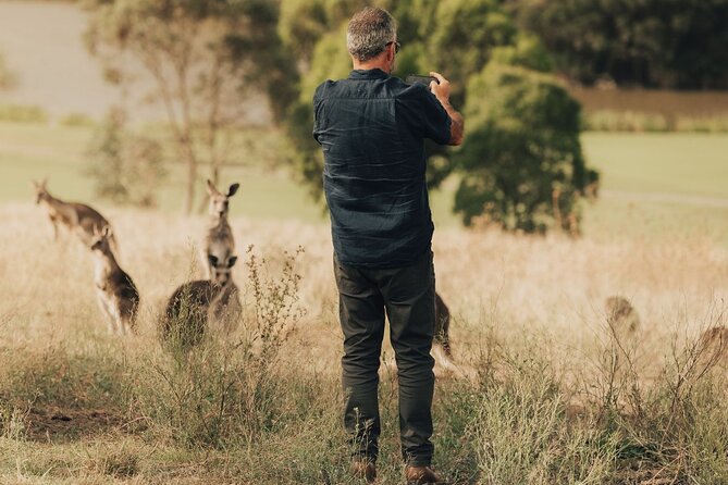 Yarra Valley Foodies Tour with Chandon & Kangaroo Safari! - Chocolaterie and Ice Creamery: Private Chocolate Tasting Then Free Time