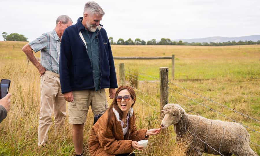 Yarra Valley Full Day Grazing Tour: Gin, Wine, Pizza, Cheese - Stag Lane Farm Distillery gin tasting plus Roman-style pizza