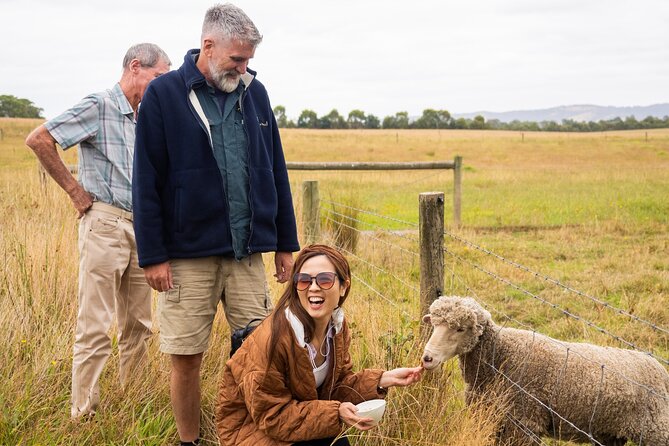 Yarra Valley Grazing Tour Wine, Cheese, Gin, Pizza from Melbourne - Healesville: a simple coffee break with an actual town feel