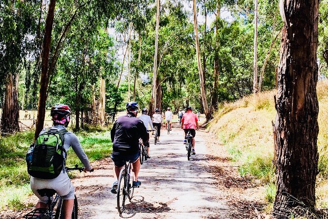 Yarra Valley Guided Bike Tour | Food & Wine Region - Stop 4: Yarra Valley Dairy in a 100-year-old milking shed